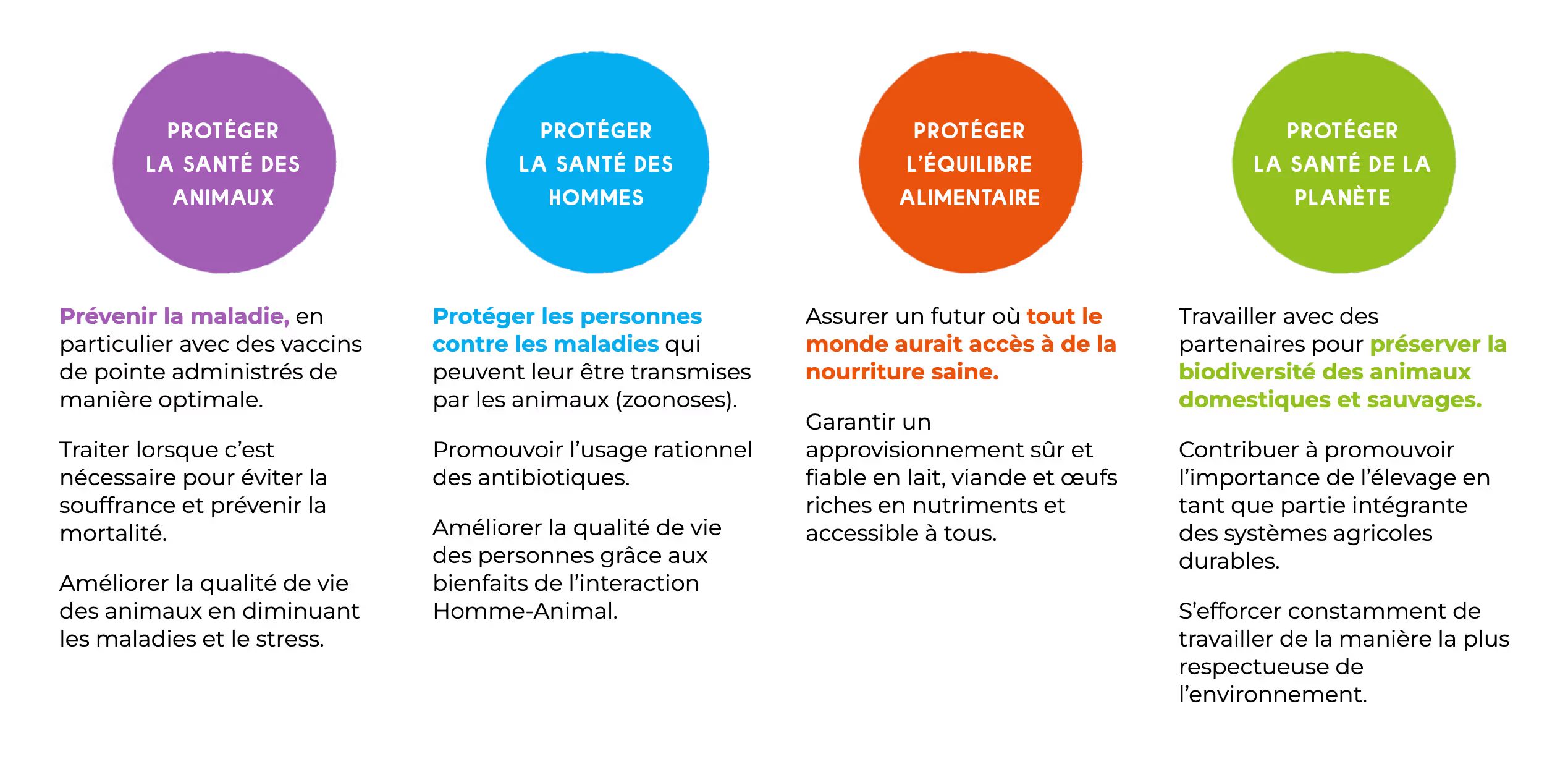 Illustration-responsabilite.png